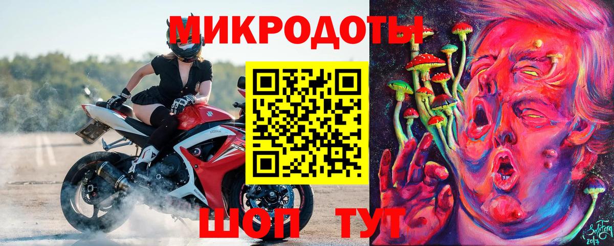 Псилоцибиновые грибы Psilocybine cubensis Приморско-Ахтарск