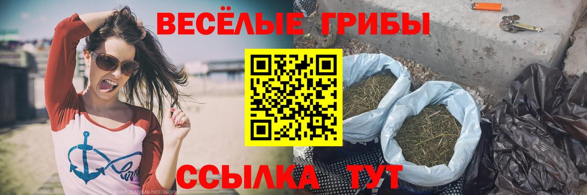 Галлюциногенные грибы ЛСД  Псилоцибиновые грибы прущие грибы  что такое наркотик  Приморско-Ахтарск  Вход с VPN 